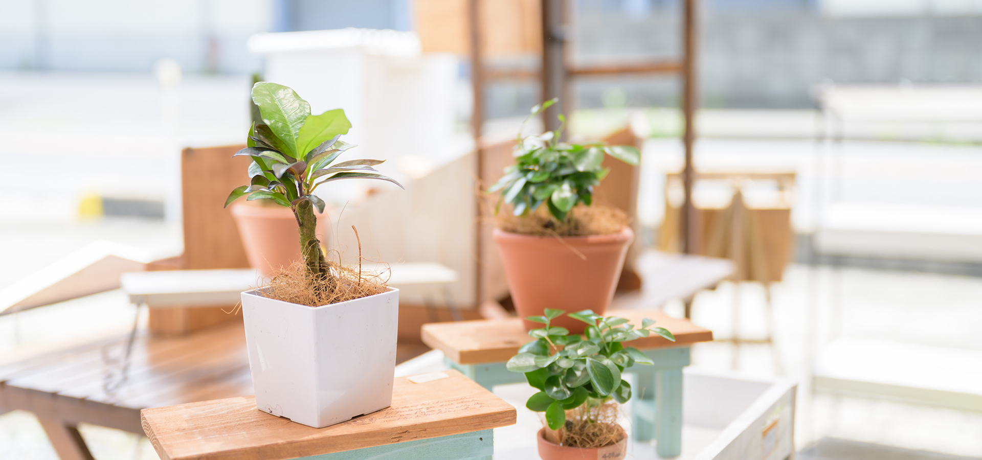 はちみつ＆Zakka shop nana