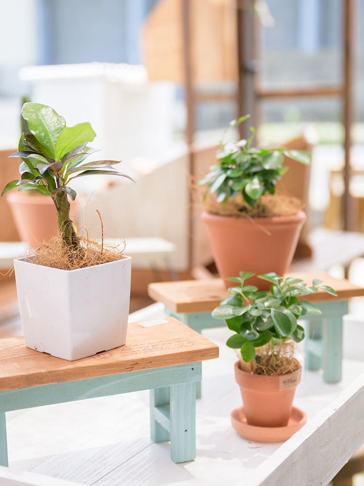 はちみつ＆Zakka shop nana